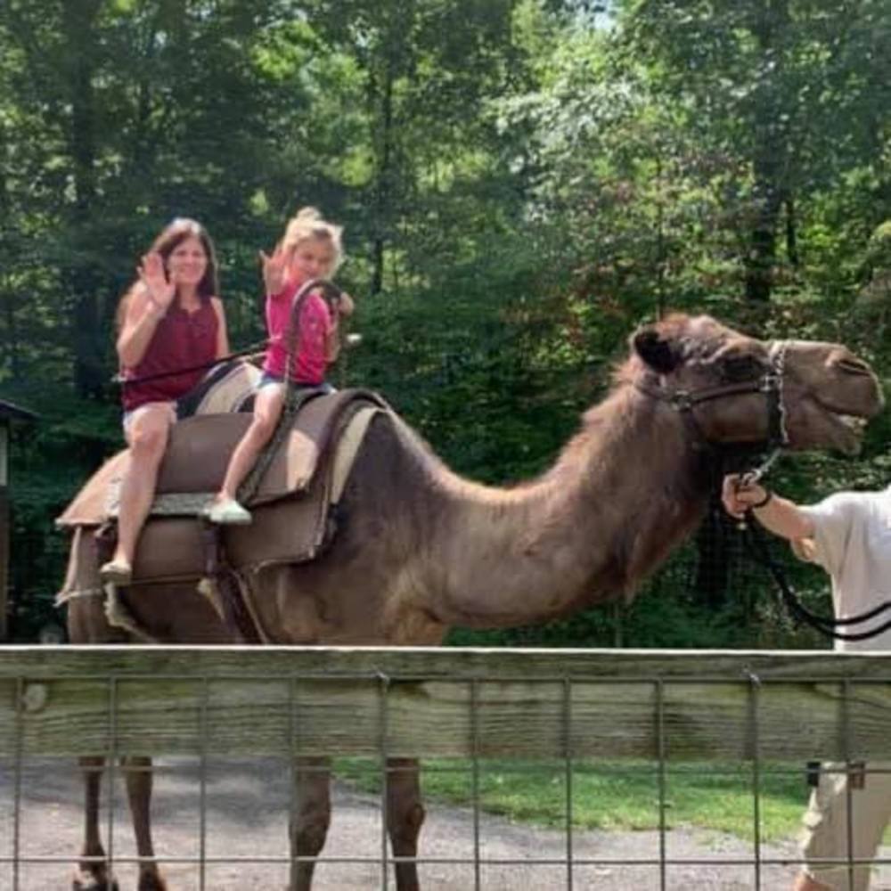 Meet your Posher, Holly